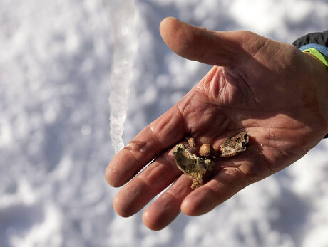 Castagneto Dolomiti Natural Wellness Winter