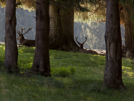 Paneveggio Visitor Centre