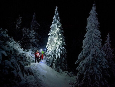 Ciaspolata al chiaro di luna