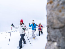 Trekking: The Trail of Imagination