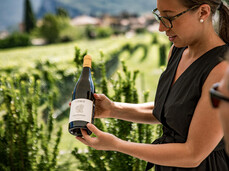 Comai Wine Experience - Wenberg, Weinkeller und Verkostung