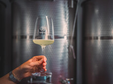 What's in the wine cellar?