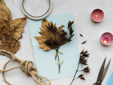 Let's create a lantern with leaves