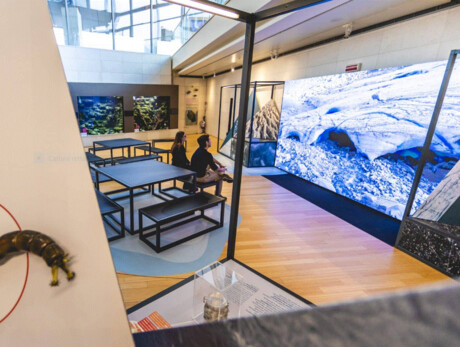 From Ice to Us - MUSE research on glaciers in the Anthropocene