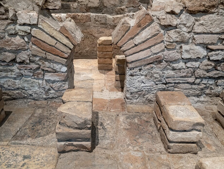 From the S.A.S.S. to the Villa of Orpheus - Guided tour