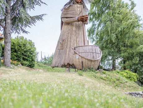 From the Walnut to the Olive Tree