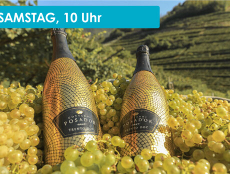 WEINVERKOSTUNG AUF DER TENUTA GOTTARDI