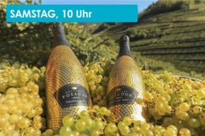 WEINVERKOSTUNG AUF DER TENUTA GOTTARDI