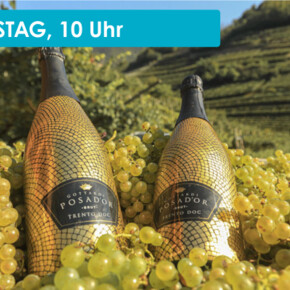 WEINVERKOSTUNG AUF DER TENUTA GOTTARDI