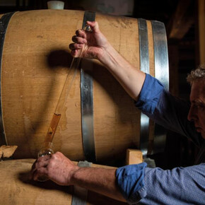 Degustazione “I cinque sensi”