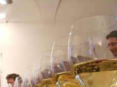 Verkostungen im Palazzo Roccabruna - Enoteca Provinciale del Trentino