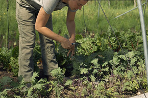 The Travel Diary - Foradori Winery