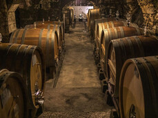 The Travel Diary - Foradori Winery