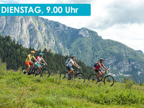 DISCOVERING PLANETS BY E-BIKE