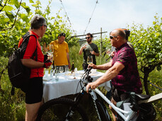 E-Bike-Tour durch Weinberge - La-Vis Weingut