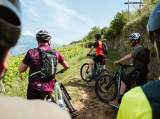 E-Bike-Tour durch Weinberge - La-Vis Weingut