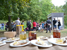 ENTORNO PAR CAVALES CON LAMA E ALPACA