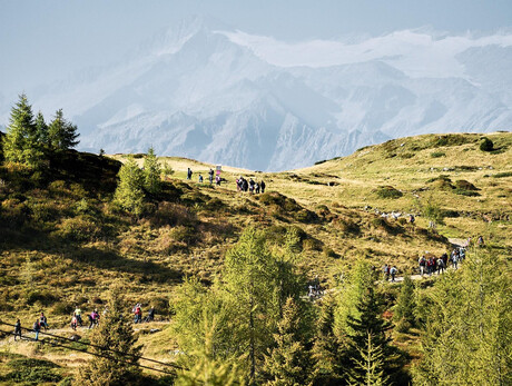 Hiking Suoni delle Dolomiti - Camp Centener