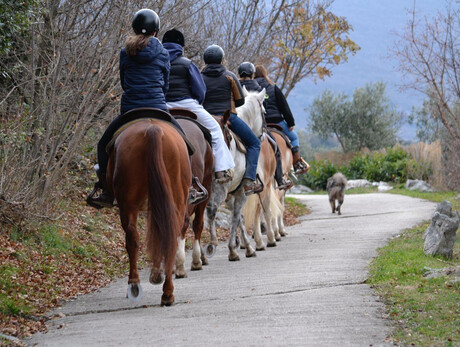 Exkursionen zu Pferd