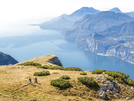 Experiences with DoloMeet Guest Card