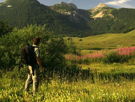 Being forest, path of the senses - Monte Bondone