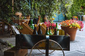 FermentiAmo - Agricola Foradori