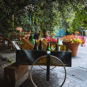 FermentiAmo - Agricola Foradori