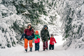 Fiaccolata nel bosco