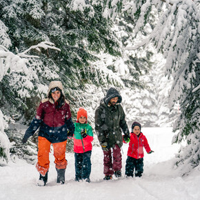 Fiaccolata nel bosco