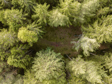 Fiemme Mountain Academy