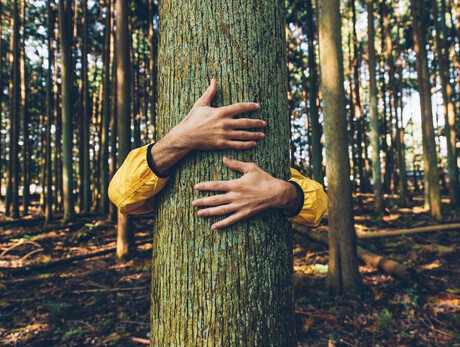 FOREST BATHING - Bagno in Foresta