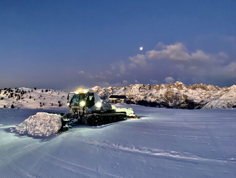 Gattista per una notte
