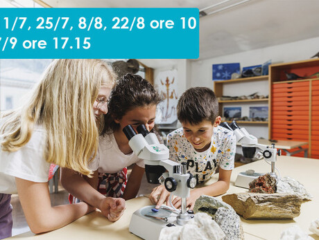 GEOLABS - FOSSILI, LA VITA DEL PASSATO