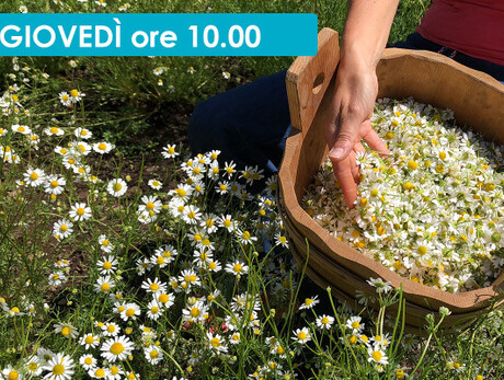 GIOCHIAMO A FARE I BOTANICI 