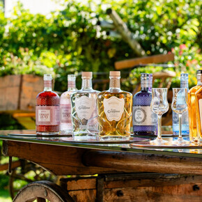 Grappino Experience - Bertagnolli