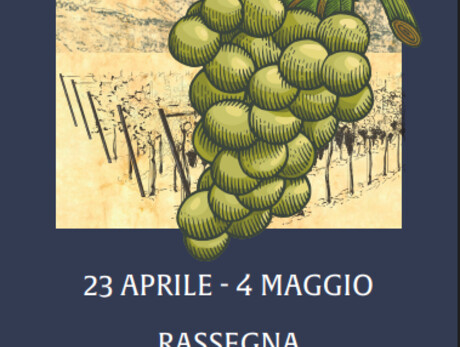 Bergweine - Enoteca provinciale del Trentino