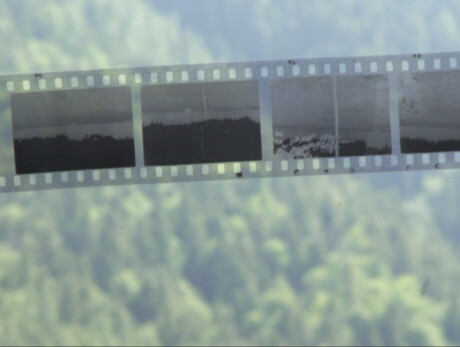 Smuggling is not a sin - Nicola Buffoni