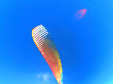 Flying, morning hours are golden