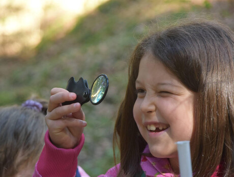 Il parco al microscopio in Val Canali
