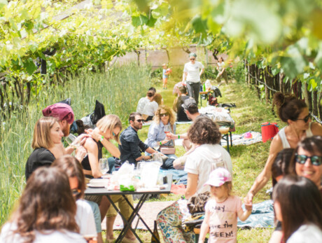 Il Picnic dei Vignaioli del Trentino