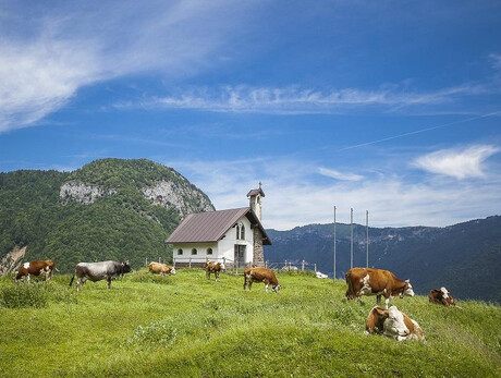 In Malga – Dairyman for a day