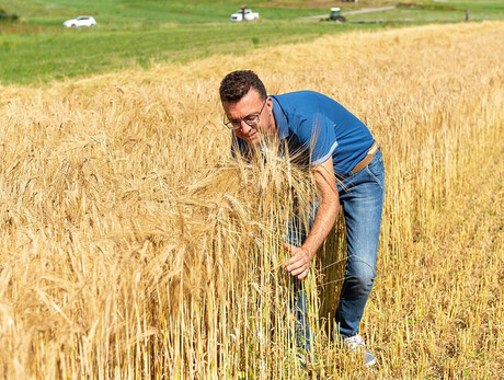 InQuota Whisky Discover - Villa de Varda