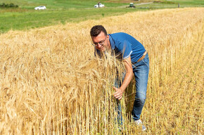 InQuota Whisky Discover - Villa de Varda