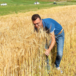 InQuota Whisky Discover - Villa de Varda