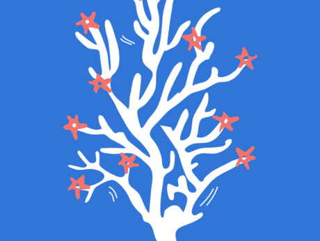 INSEDIAMENTI - Trento Ecosistema Cultura