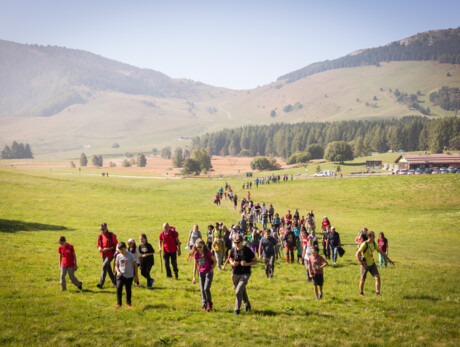 The energy of the Sun: a walk through astronomy and botany - Viote Alpine Botanical Garden
