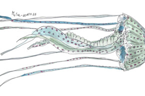 Die Medusa - Kunstinstallation - MUSE