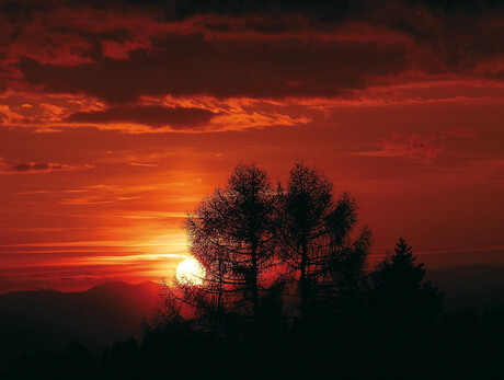 The night what a spectacle