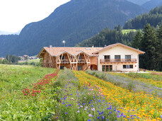 Workshop with officinal plants