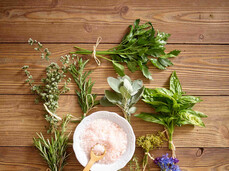 Workshop with officinal plants